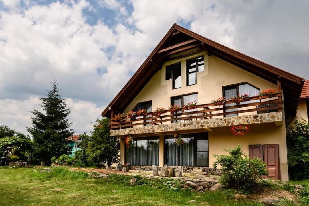 Guest house Pensiunea Mara