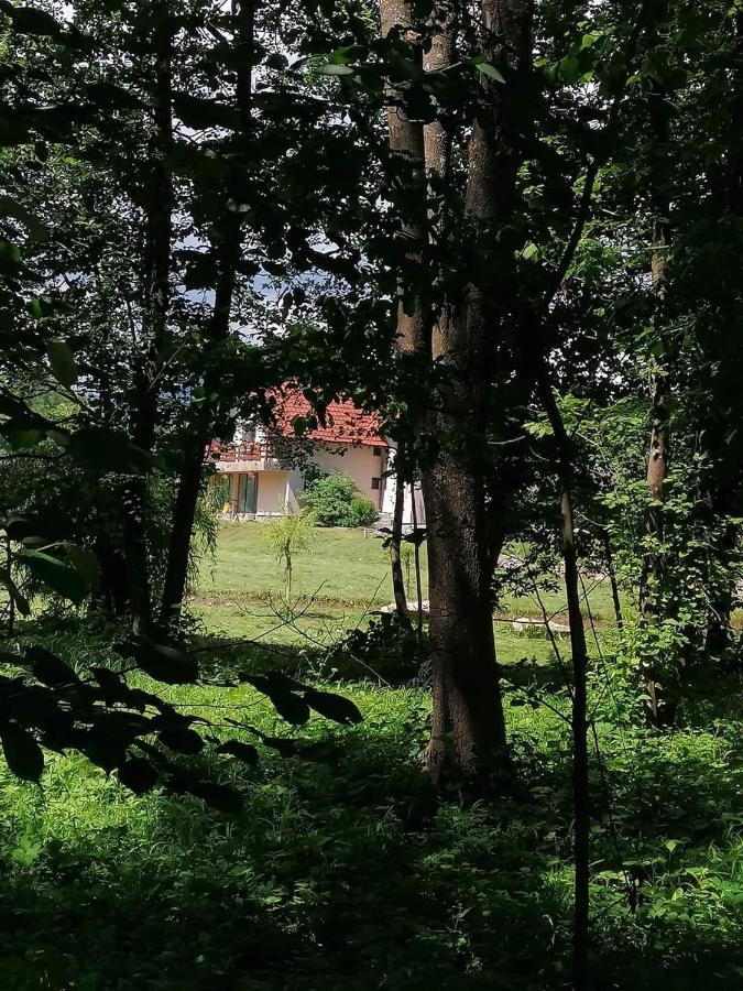 Pensiunea Mara Guest house