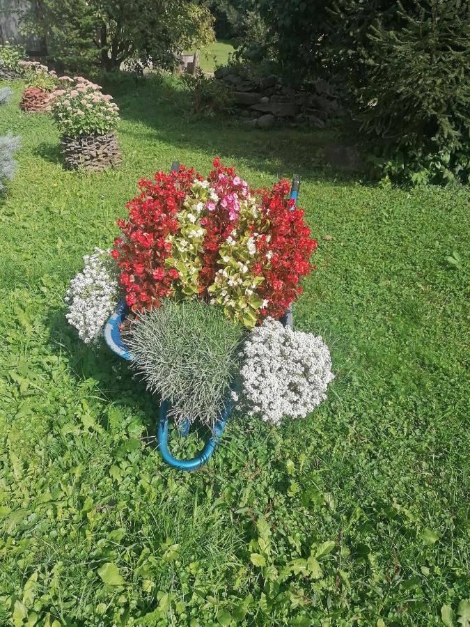 Pensiunea Mara
