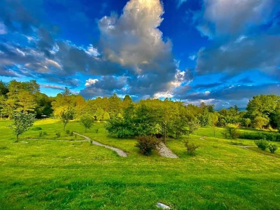 Pensiunea Mara 3* Desesti