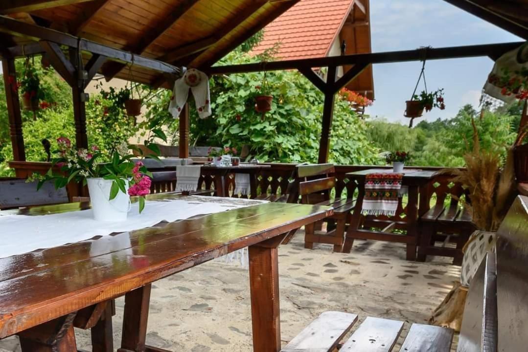 Guest house Pensiunea Mara 3*