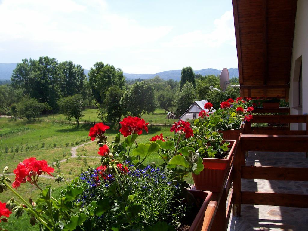 Pensiunea Mara 3* Desesti