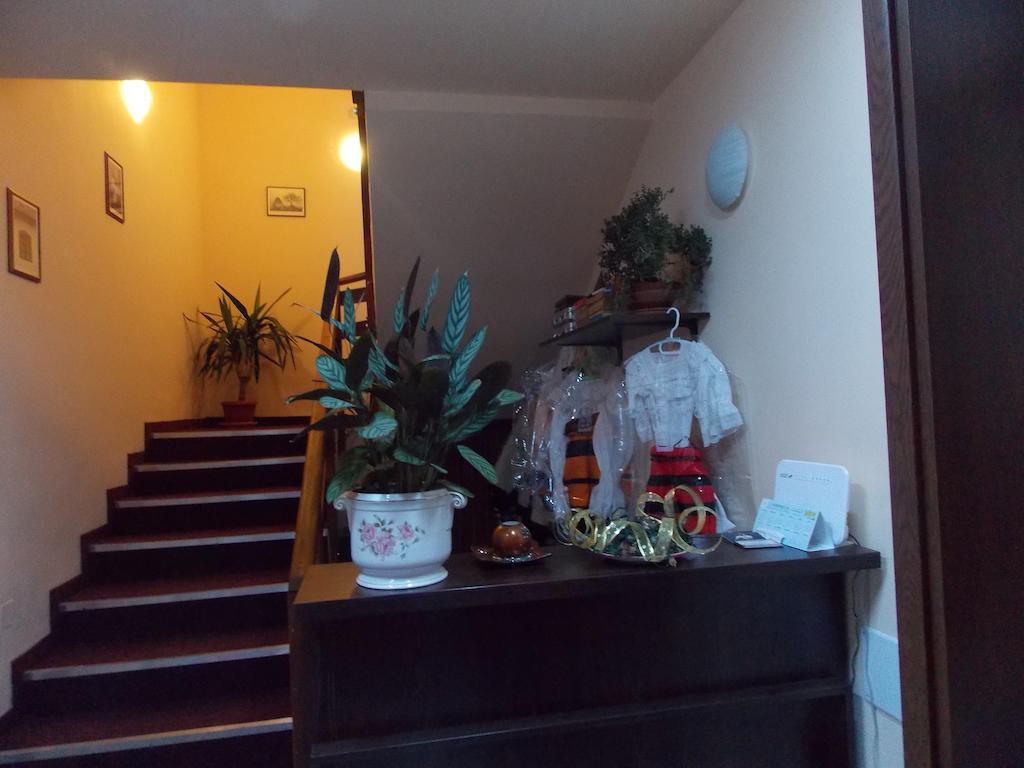 Guest house Pensiunea Mara 3*