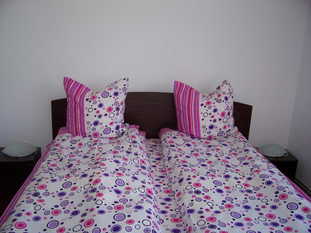Guest house Pensiunea Mara 3*
